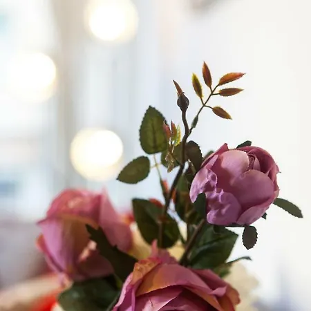 Casa Liberta - Downtown Modern With Airconditioning شقة