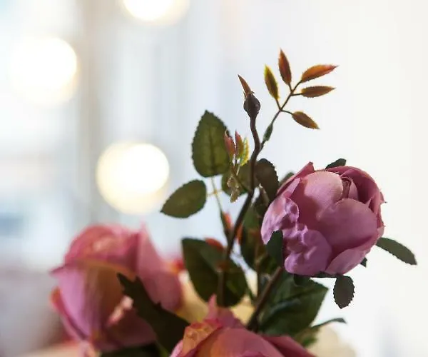 Casa Libertà - Downtown Modern With Airconditioning Apartamento